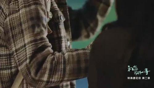 起尾注电影在线观看,揭秘幕后故事，在线观看带你走进光影世界  第3张